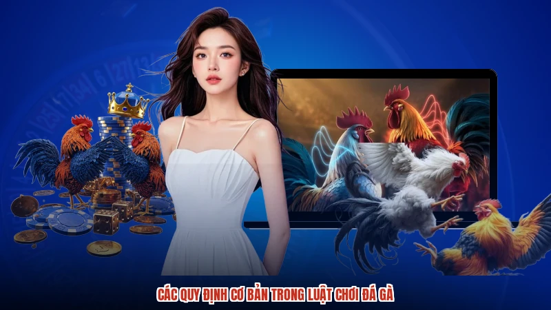 Các quy định cơ bản trong luật chơi đá gà