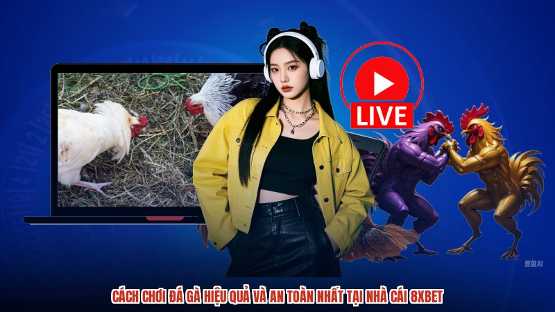 Cách Chơi Đá Gà Hiệu Quả Và An Toàn Nhất Tại Nhà Cái 8XBET