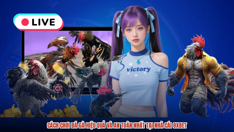Cách Chơi Đá Gà Hiệu Quả Và An Toàn Nhất Tại Nhà Cái 8XBET