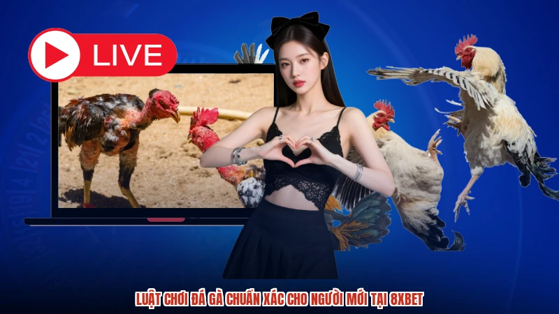 Luật Chơi Đá Gà Chuẩn Xác Cho Người Mới Tại 8XBET