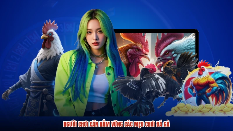 Người chơi cần nắm vững các mẹo chơi đá gà