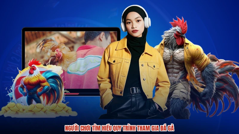 Người chơi tìm hiểu quy trình tham gia đá gà
