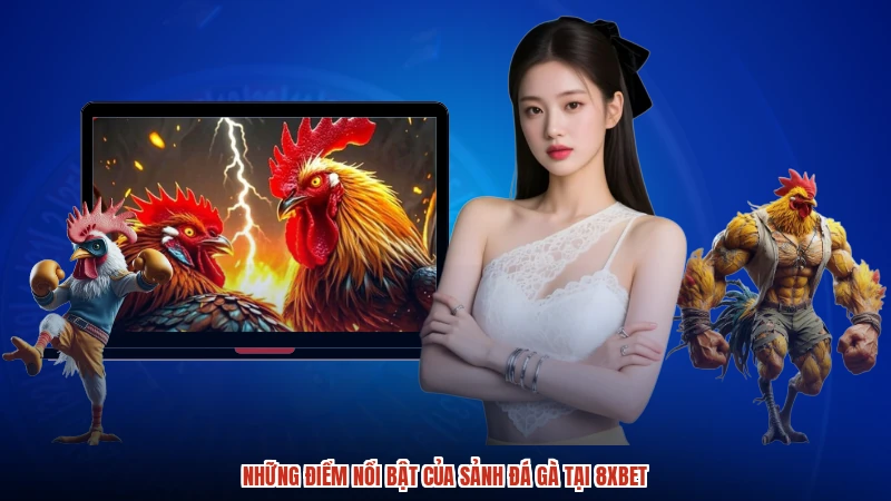 Những điểm nổi bật của sảnh đá gà tại 8XBET