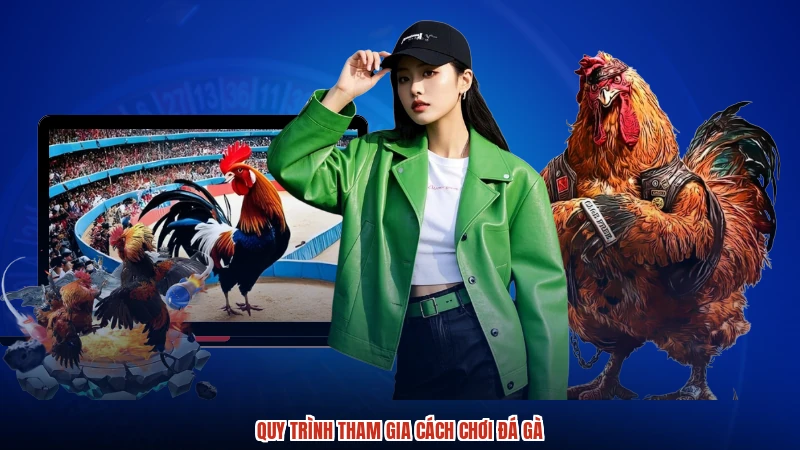Quy trình tham gia cách chơi đá gà
