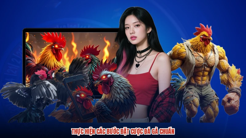 Thực hiện các bước đặt cược đá gà chuẩn