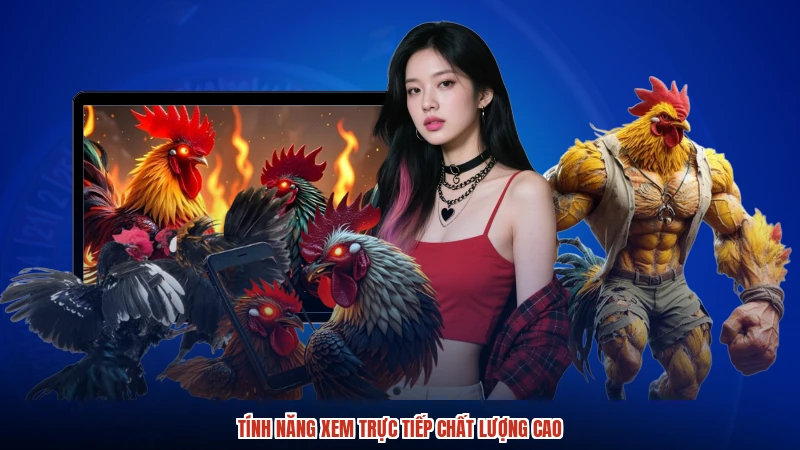 Tính năng xem trực tiếp chất lượng cao